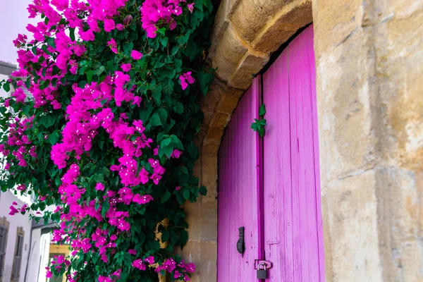 Pink Bougainvillea Flowers Old Wooden Padlocked Door Cyprus Street — Stock Photo, Image