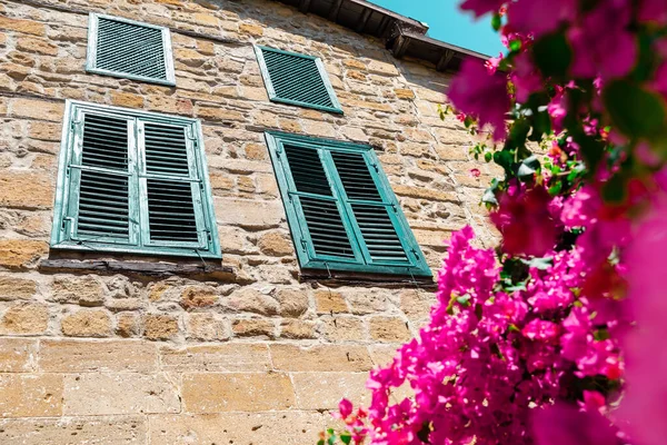 Blooming Bougainvillea Flowers Old Stone Wall House Wooden Windows Background — Stock Photo, Image