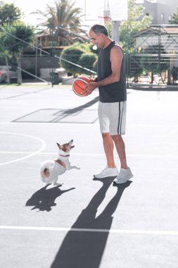 Yetişkin bir adamın portresi basketbol oynarken sevimli bir köpek Jack Russel terrier ile yazın dışarıda oyun alanında. Topu yakalamak için zıplayan bir evcil hayvan