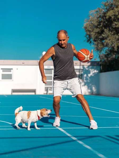 Turkish Cypriot elderly athletic man having fun playing basketball with cute dog jack russel terrier on blue color playground outdoor at summer sunny day