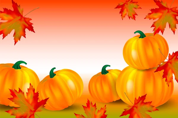 Bannière Halloween Thanksgiving Fond Automne Avec Citrouilles Feuilles Rouges Érable — Image vectorielle