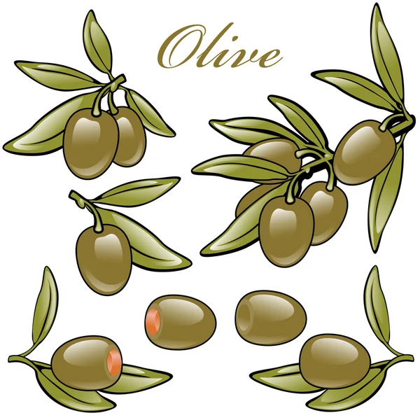 Ensemble d'olives vertes — Image vectorielle