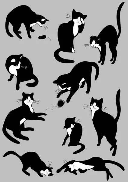 Black cats — Stock Vector