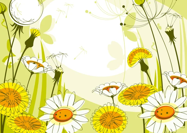 Daisies and dandelions — Stock Vector