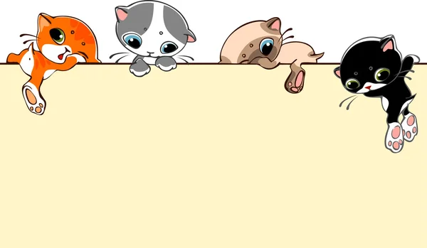 Banner com gatos — Vetor de Stock