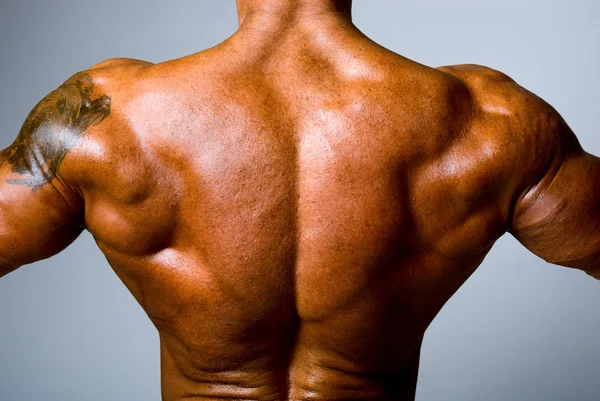 O homem muscular nas costas em fundo cinza — Fotografia de Stock