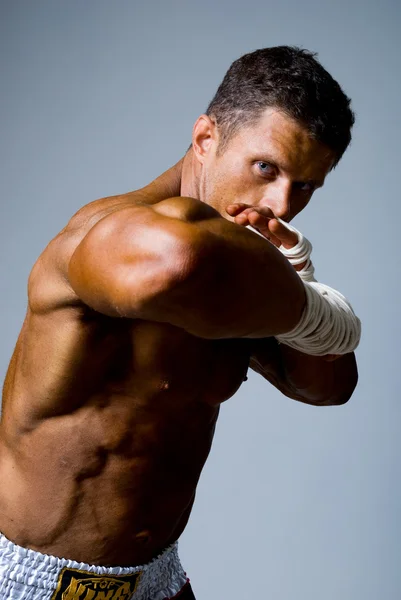 Retrato de un boxeador de patadas en posición de lucha . —  Fotos de Stock