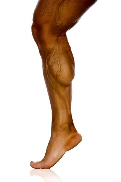 Musculatura da perna de atleta masculino — Fotografia de Stock