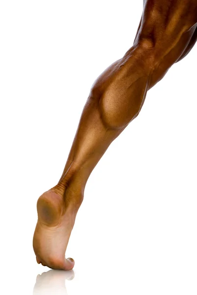 Estudo, musculatura da perna do atleta masculino — Fotografia de Stock
