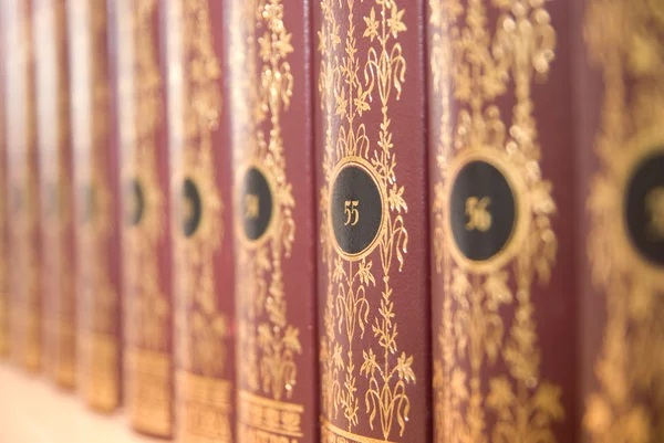 Books on a shelf in the library collection of works in the serie — Stock Photo, Image