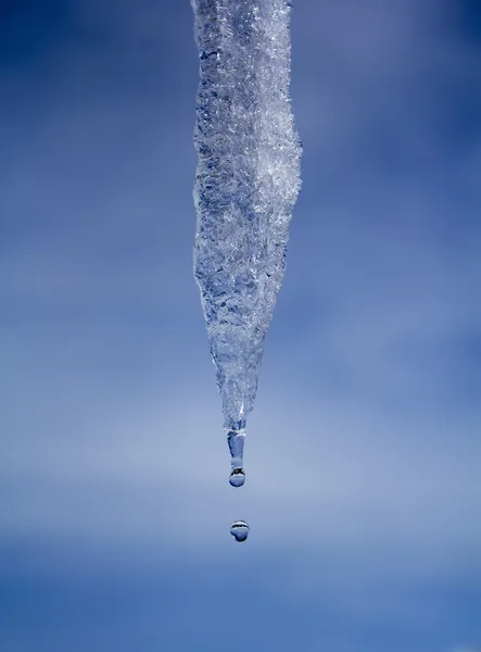 Eiszapfen — Stockfoto