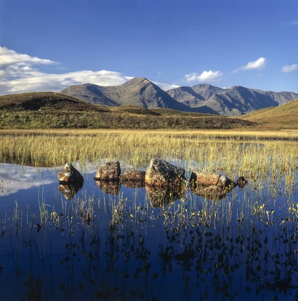 Rannoch Moor — Φωτογραφία Αρχείου