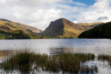 Butmere Gölü bölgesinden mızraklı donanma