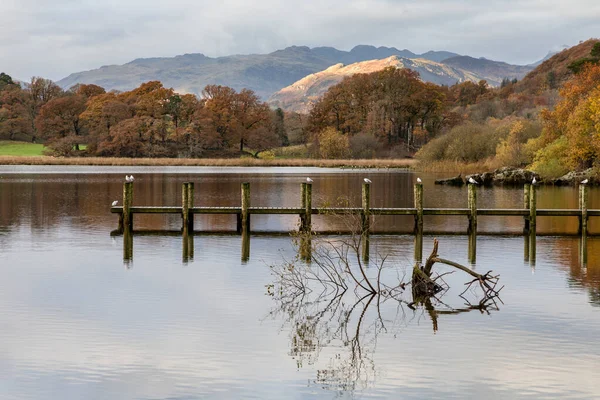 Jetty Windermere Early Morning Light Background Hills — Stockfoto