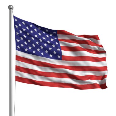 Birleşik Devletler Bayrağı