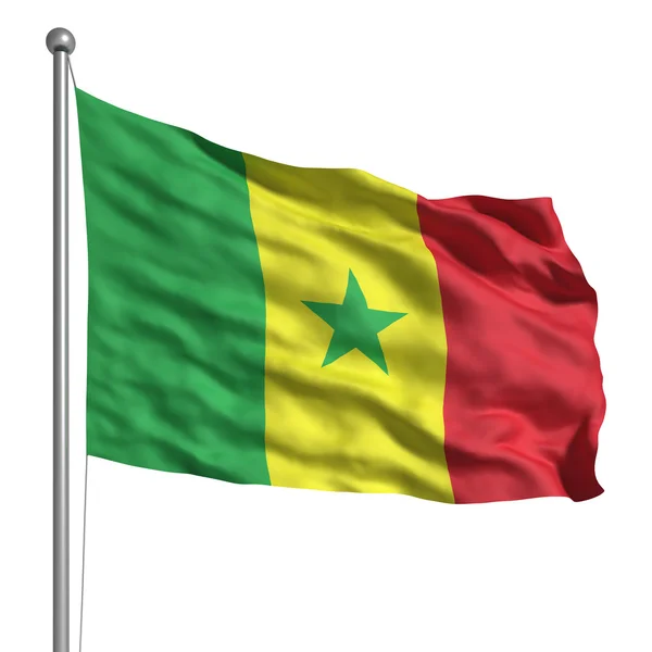 Флаг Сенегала — стоковое фото