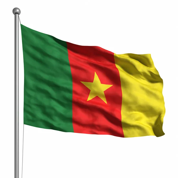 Flag of Cameroon — Stock Photo, Image