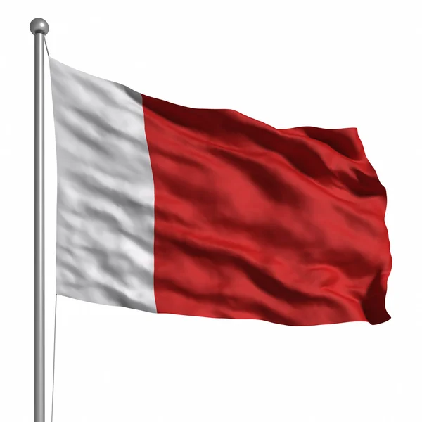 Dubai bayrağı — Stok fotoğraf