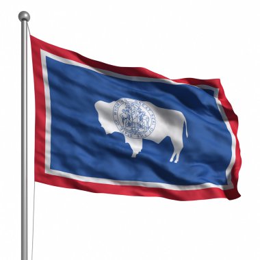 wyoming bayrağı