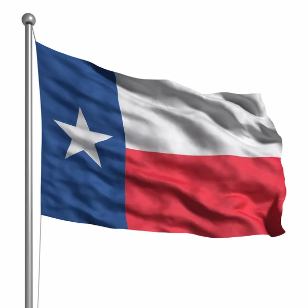 Flag of the Texas — Stockfoto