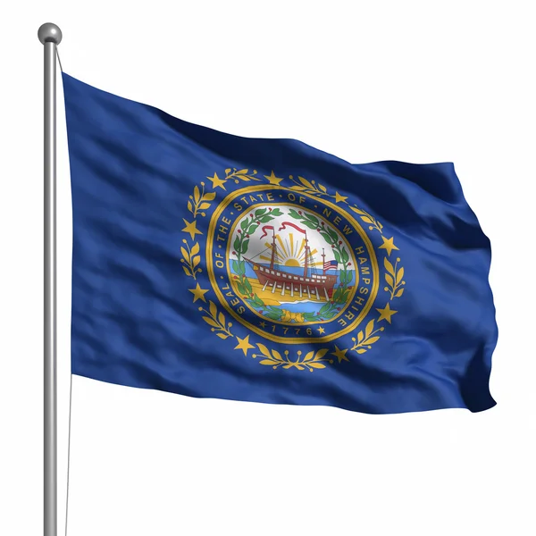 Flagga i new hampshire — Stockfoto