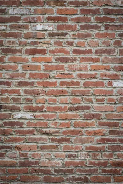 Old Brick Wall — Stock Photo, Image