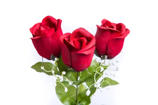 Rose rosse — Foto Stock