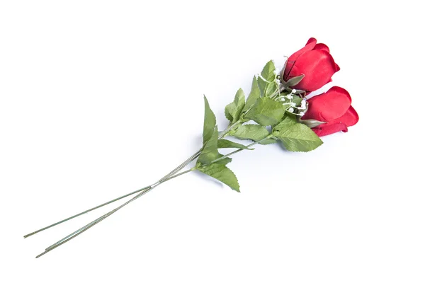 Rose rosse — Foto Stock