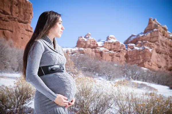 Pregnant Snow — Stock Photo, Image