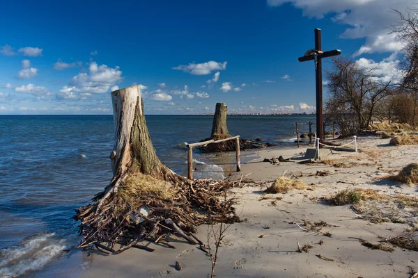 Cruz y árboles muertos en el mar Fotos de stock libres de derechos