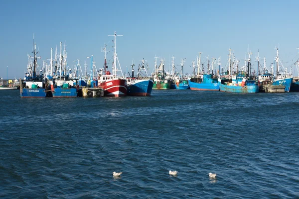 Barcos pesqueros rojos y azules Imagen de stock