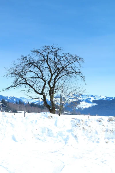 Kirchberg, tirol in Oostenrijk — Stockfoto