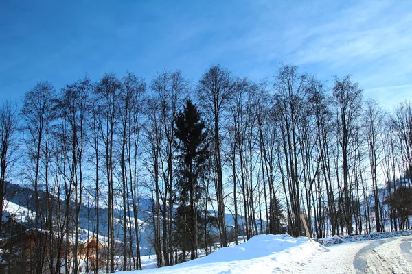 在 kircherg，奥地利冬季风景 — 图库照片