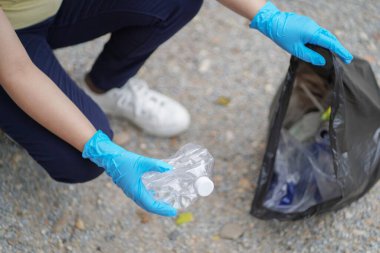 Ağaçta taze sarı limonlar.