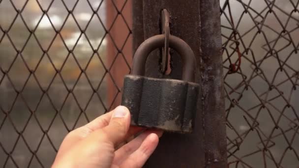 Mano, prende un lucchetto su una recinzione in rete di ferro. Controlla se la serratura è chiusa — Video Stock