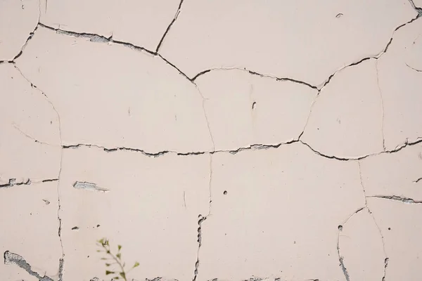 Superposición para su diseño. Textura de fondo de una pared de cemento blanco con una grieta. Una grieta en la vieja pared. — Foto de Stock
