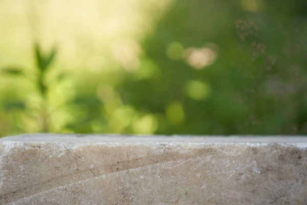 Piedra sobre el fondo de plantas verdes, podio para su producto, pedestal texturizado natural — Foto de Stock