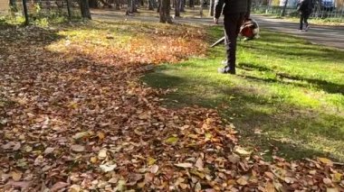 Ağır çekim. Parktaki yaprakları toplarken hava üfleyicisiyle çalışan bir adam. Güneşli bir günde yapraklar çimlere düşer ve yükselir
