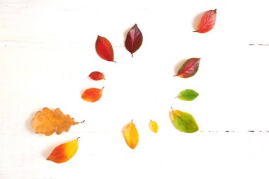 Açık ahşap zemin üzerinde çok renkli sonbahar yaprakları çerçevesi, üst görünüm, düz yüzey