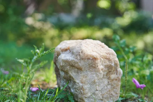 Piedra beige sobre el fondo de plantas verdes, podio para su producto, pedestal texturizado — Foto de Stock