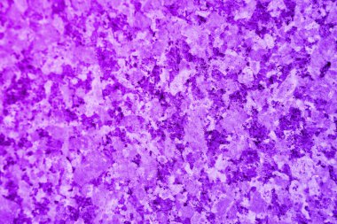 Üst Manzara. Bahçe yatağında mor yapraklı marul. Mor rengin açık zemininde