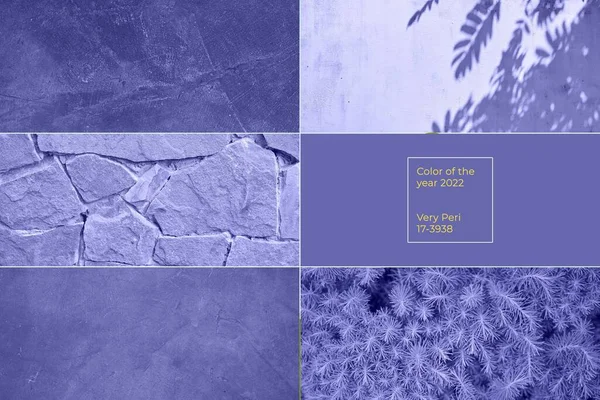 Коллаж. Бетонная стена с царапинами, фиолетово-голубой фон, каменная стена и растения. Цвет года 2022 фиолетовый — стоковое фото