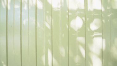 Rüzgârın savurduğu güneş ışığı ve ağaç gölgeleri demir dalgalı çitlere yansıyor. Ağaçların doğal yaprakları yüzeyde üst üste konur.