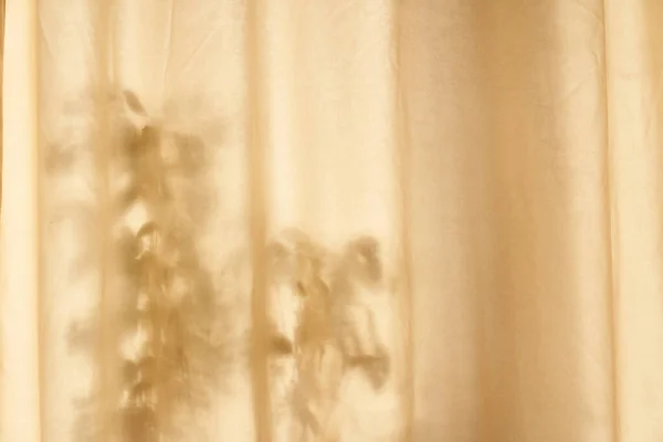 Uma sombra escura de folhas em uma cortina bege. Fundo texturizado neutro, conceito de natureza. Espaço para texto. — Fotografia de Stock