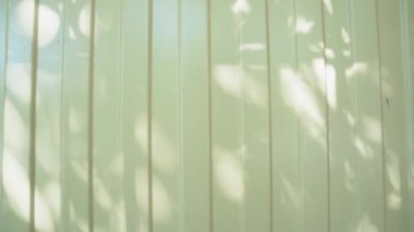 Rüzgârın savurduğu güneş ışığı ve ağaç gölgeleri demir dalgalı çitlere yansıyor. Ağaçların doğal yaprakları yüzeyde üst üste konur.