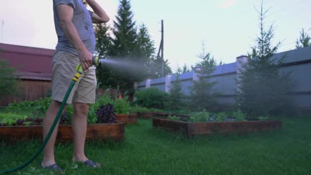 Gros plan d'un homme arrosant des plantes dans le jardin au coucher du soleil. Jardinage et concept de passe-temps — Video