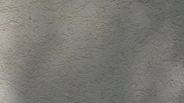 Rüzgârın savurduğu güneş ışığı ve ağaç gölgeleri duvarın eski dokusuna yansıyor. Birçok ağacın doğal yaprakları düz bir yüzeye yerleştirilmiştir.
