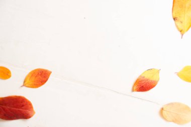 Hafif ahşap tahtaların arka planında düşen birkaç sarı sonbahar yaprağı. Düz çizgi. Metin için boşluk