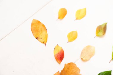 Hafif ahşap tahtaların arka planında düşen birkaç sarı sonbahar yaprağı. Düz çizgi. Metin için boşluk