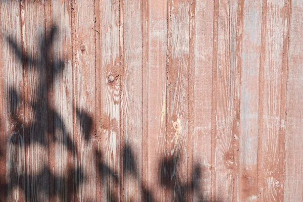 木製の柵の上に葉の暗い影。中立的な木製の背景、自然コンセプト。テキストのスペース. — ストック写真